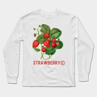 Vintage Strawberry Classic Long Sleeve T-Shirt